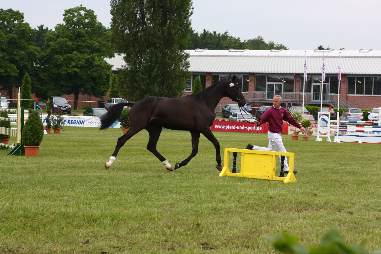 Bild 101 - Elmshorn am 9.6.10